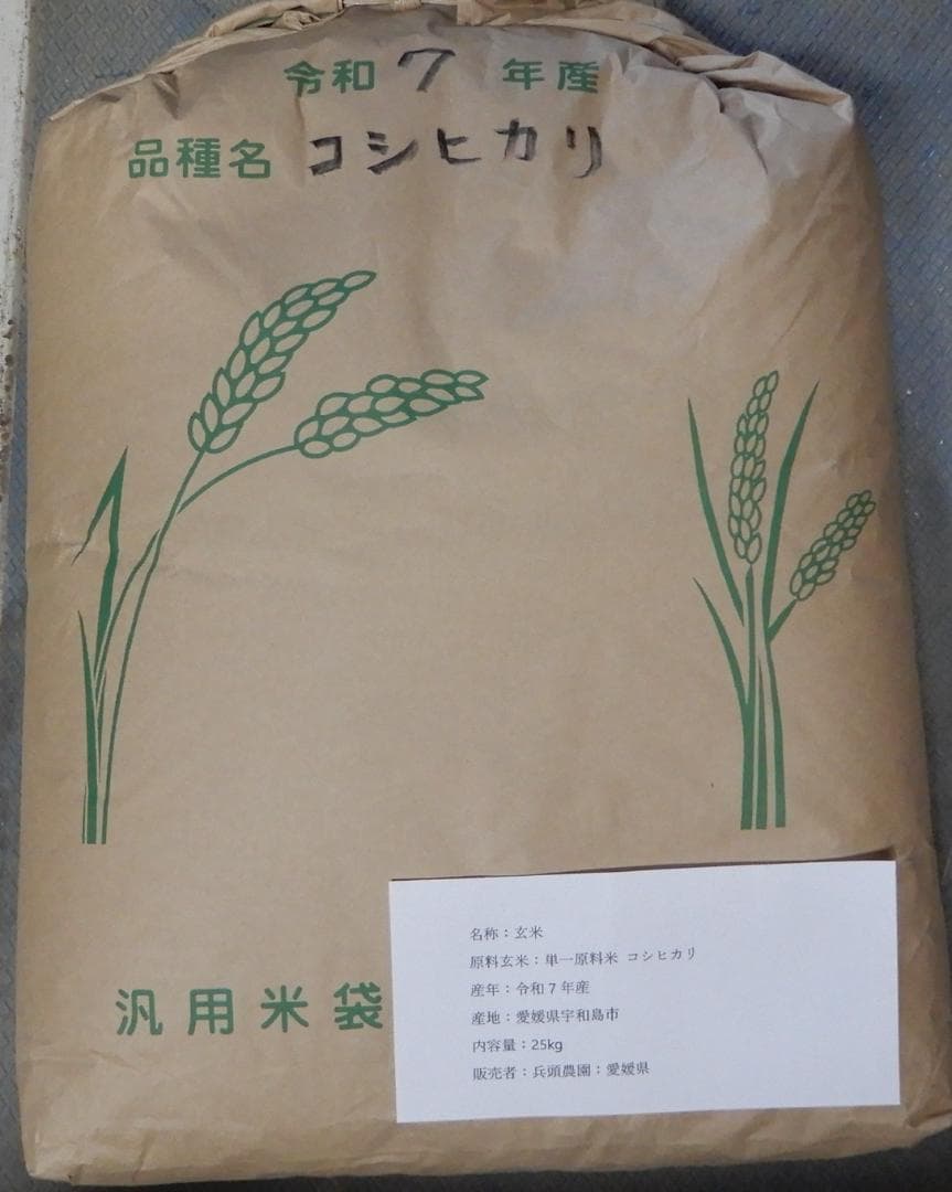 令和7年産 コシヒカリ 玄米25kg 愛媛県産 減農薬 農家直送 送料込み 02