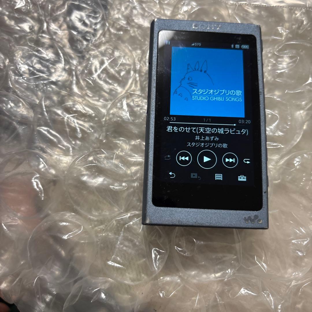 SONY ソニー WALKMAN ウォークマン NW-A45