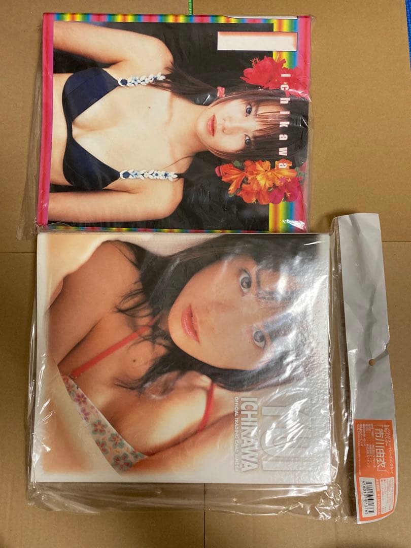 【タマちゃんさん専用】市川由衣　トレカ　DVD等