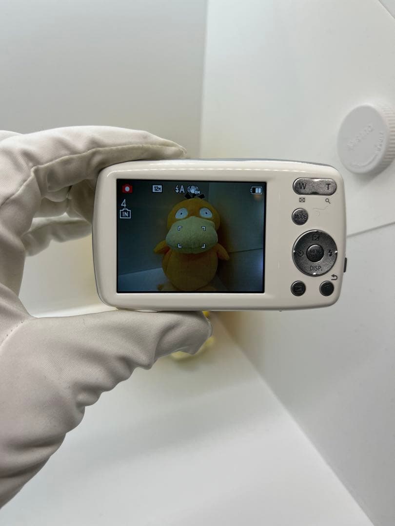 Panasonic DMC-S1 LUMIX S1 動作◎ 美品◎ フルセット