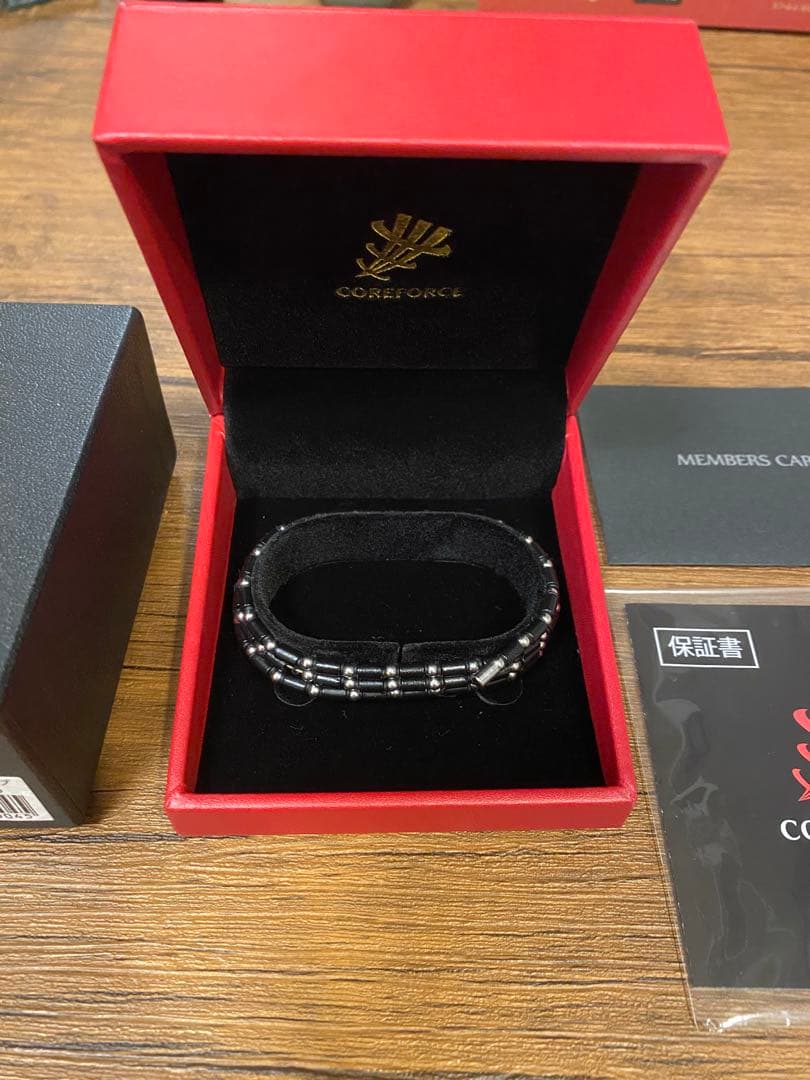 COREFORCE 70cmネックレス