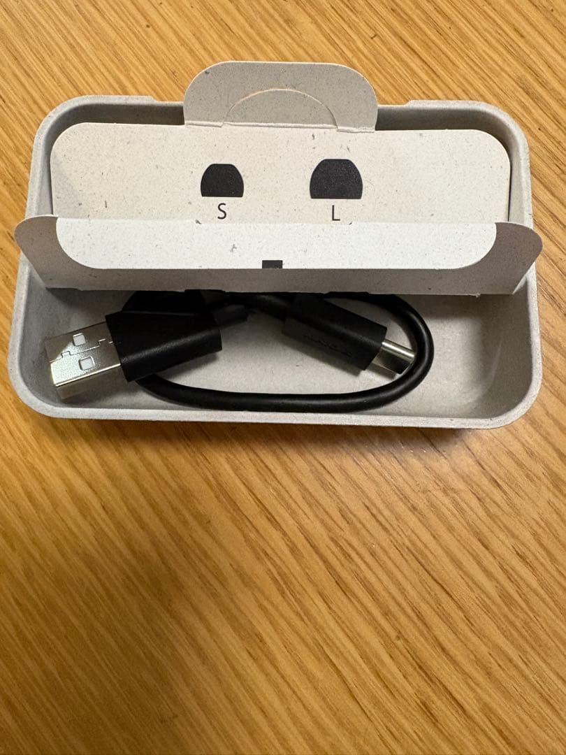 SONY ワイヤレスイヤホン ブラック 充電ケース付き