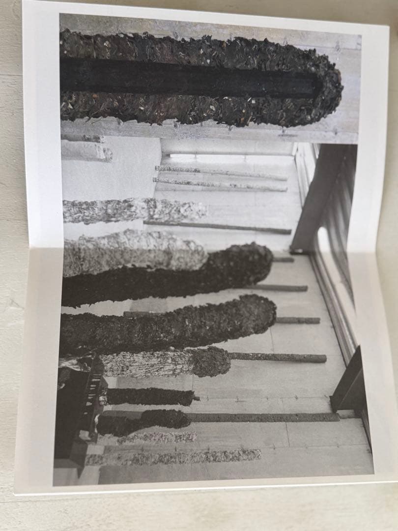 helmut lang カタログ　美術