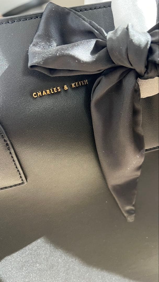 新品　未使用✴︎CHARLES&KEITH バック A4バック