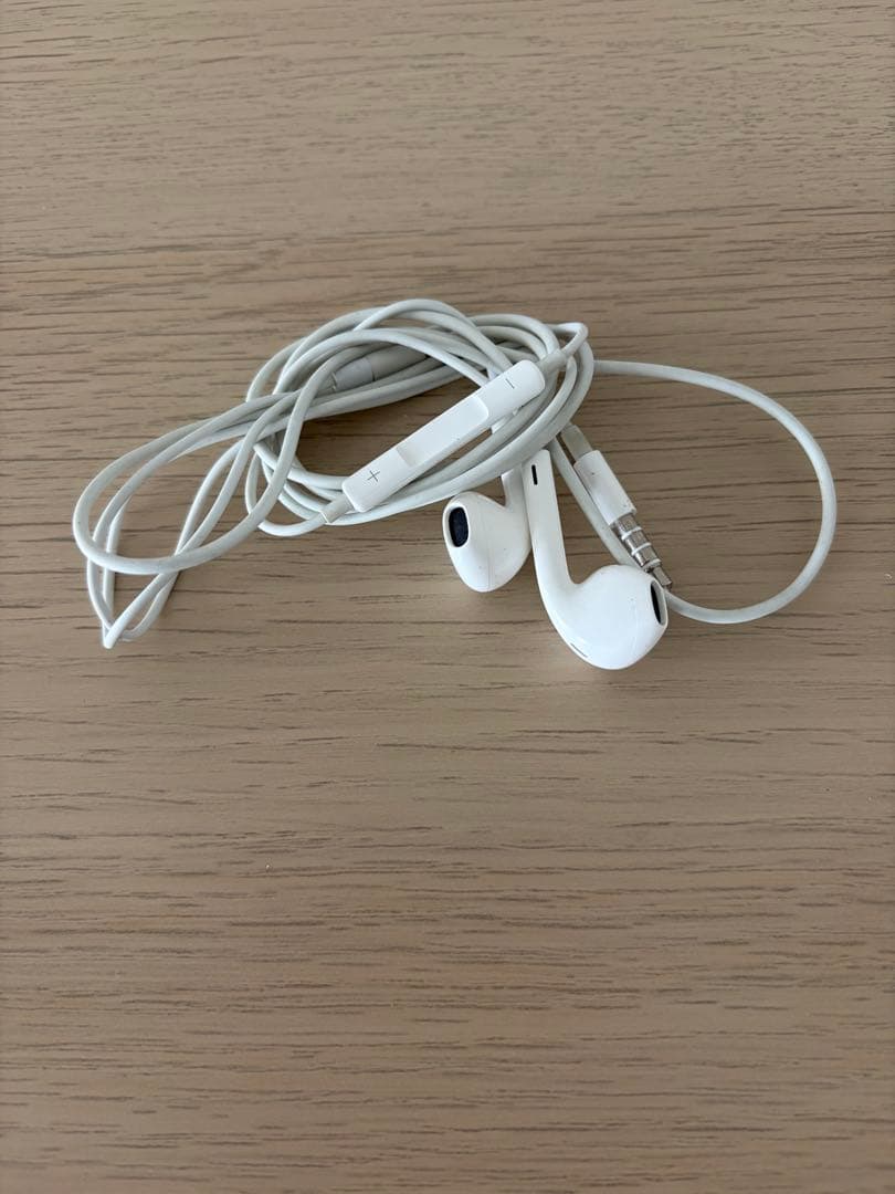 Apple iPod classic 160GB 第7世代 動作品 使用感あり