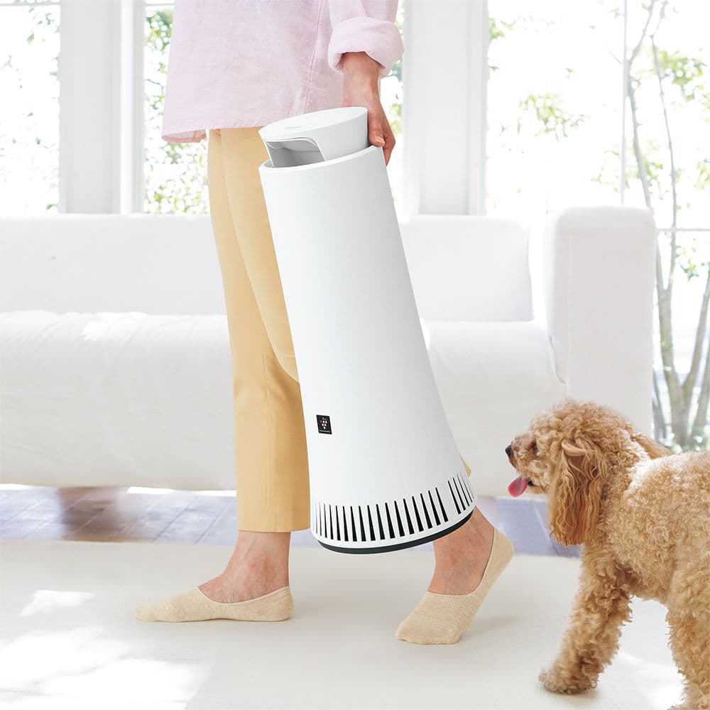 SHARPプラズマクラスターNEXT除菌脱臭機 DY-S01 2020年製