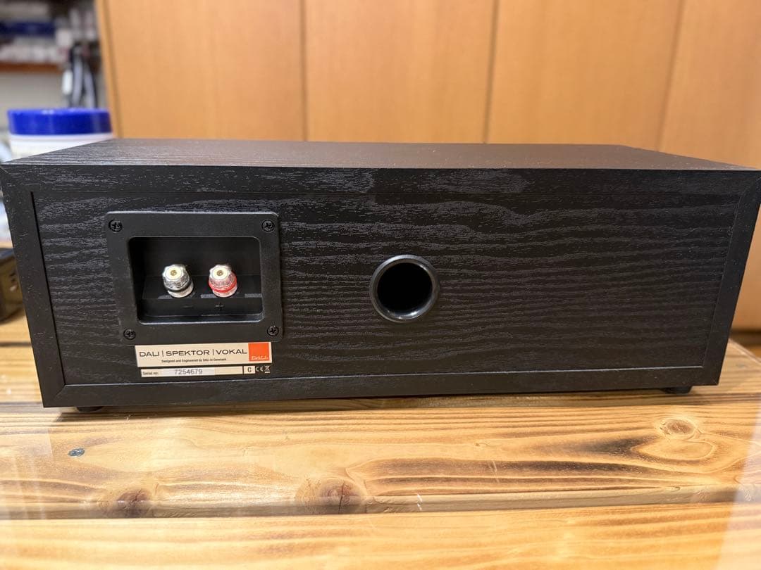 【美品】DALI SPEKTOR VOCAL