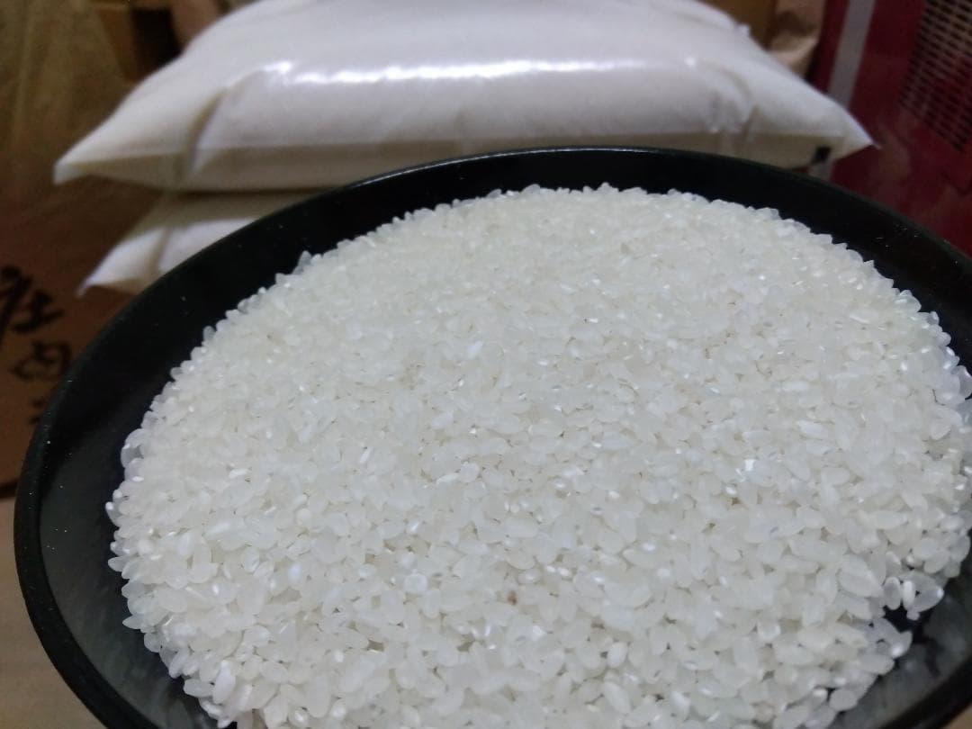 令和7年産　山形県産　コシヒカリ中米