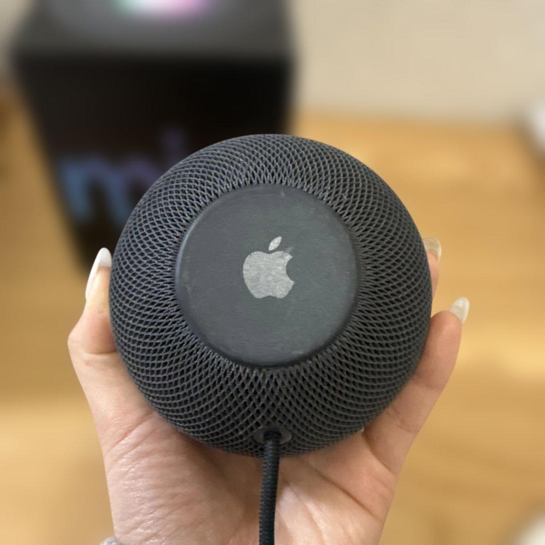 Apple Pod スペースグレー