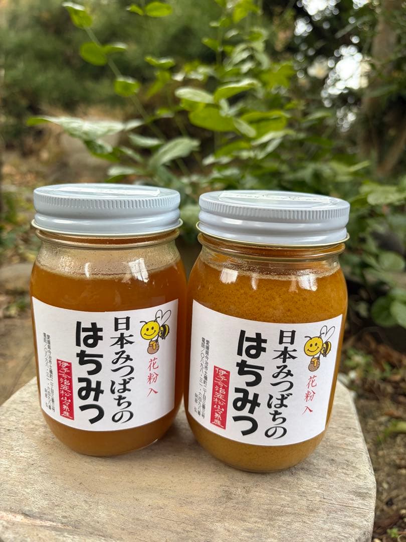 ハチミツ　日本蜜蜂の蜂蜜　奥山の奥のはちみつ　花粉入り結晶化