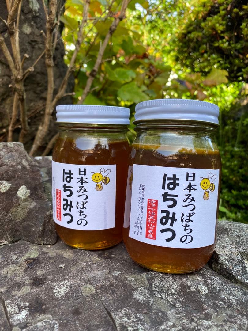 ハチミツ　日本蜜蜂の蜂蜜　巣箱の違うはちみつ　奥山の奥