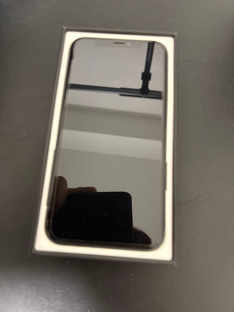 【激レア】iPhone 11 Pro256GB 電池100%カメラ消音香港モデル