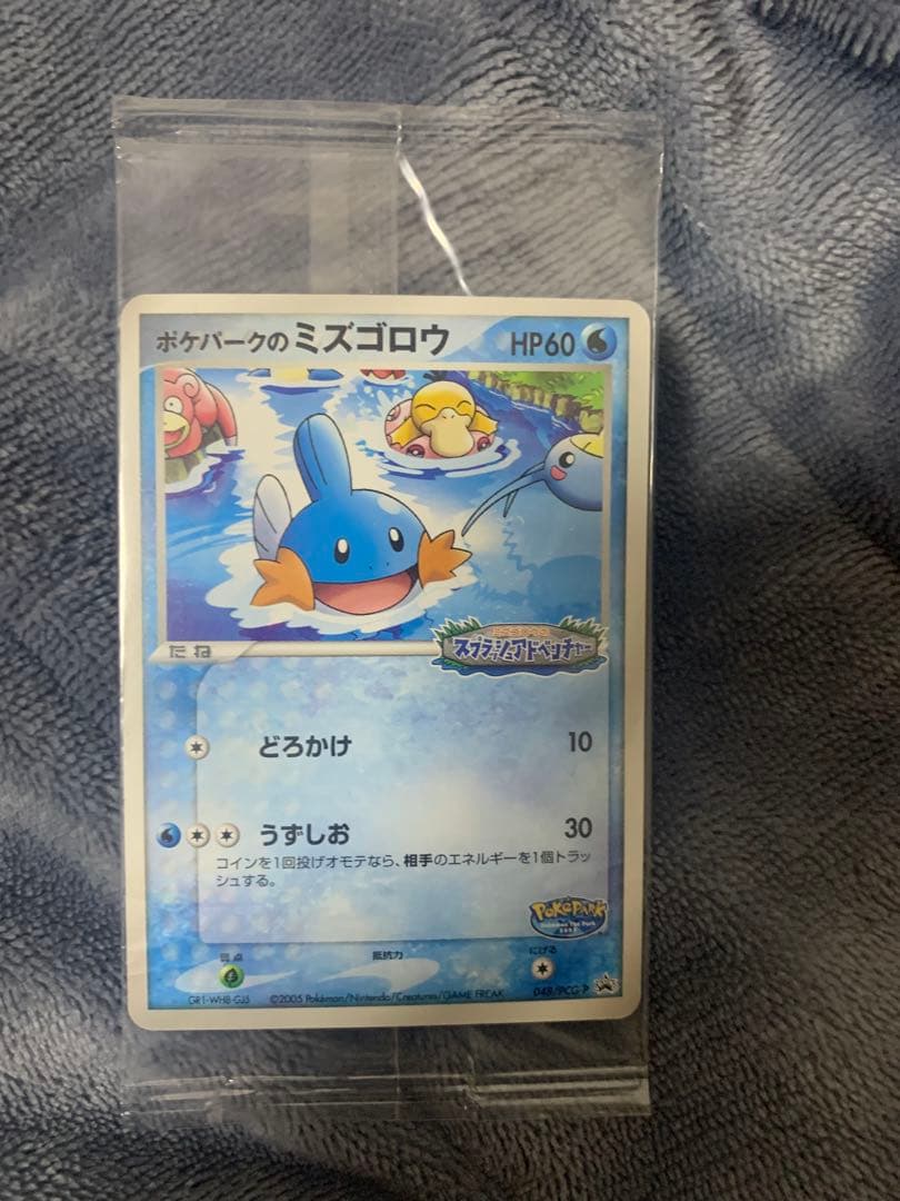 ポケパークのミズゴロウ プロモ 048/PCG-P ポケモンカード