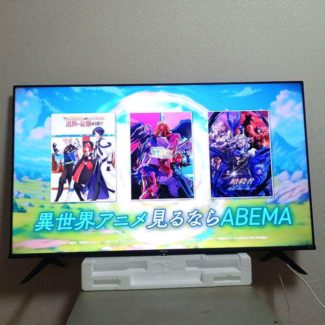 Hisense[2022年製品]50E6G