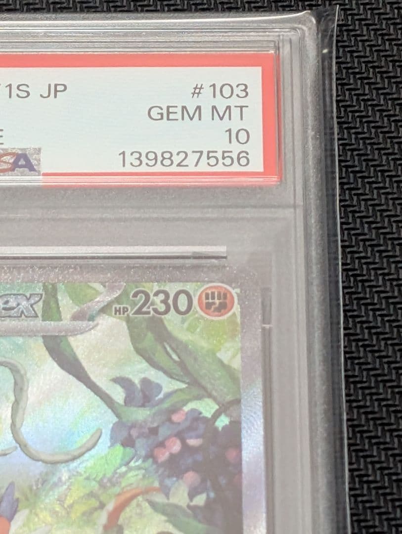 連番 ミライドン コライドンex sar psa10 最新ケース