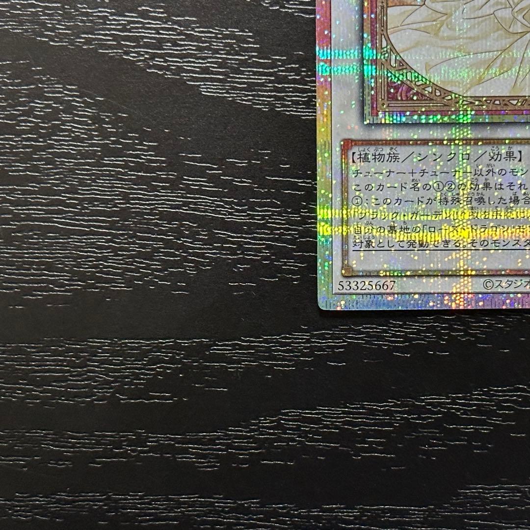 遊戯王 ガーデンローズメイデン プリズマ