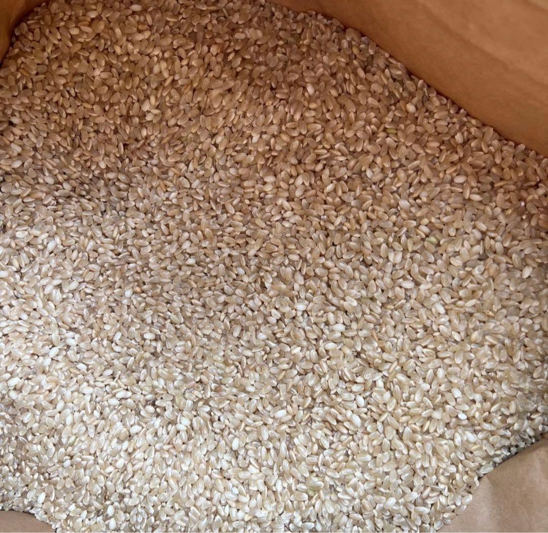 令和7年　埼玉県産　キヌヒカリ　玄米　30キロ　離島以外送料込み