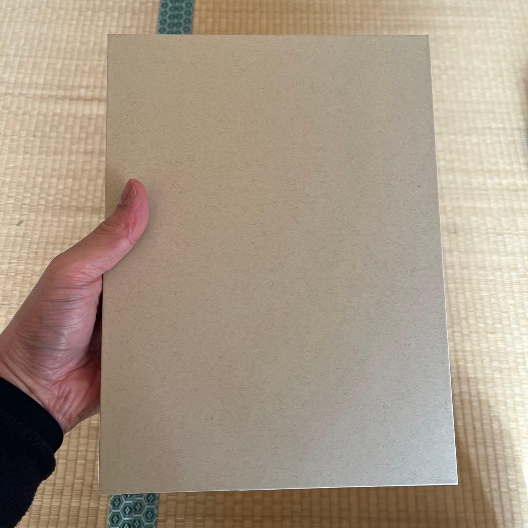 新品未使用品 iPad 第10世代 256G Wi-Fiモデル