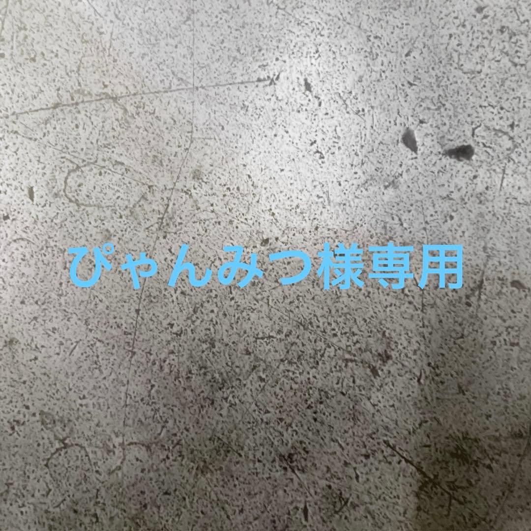 【ぴゃんみつ専用】