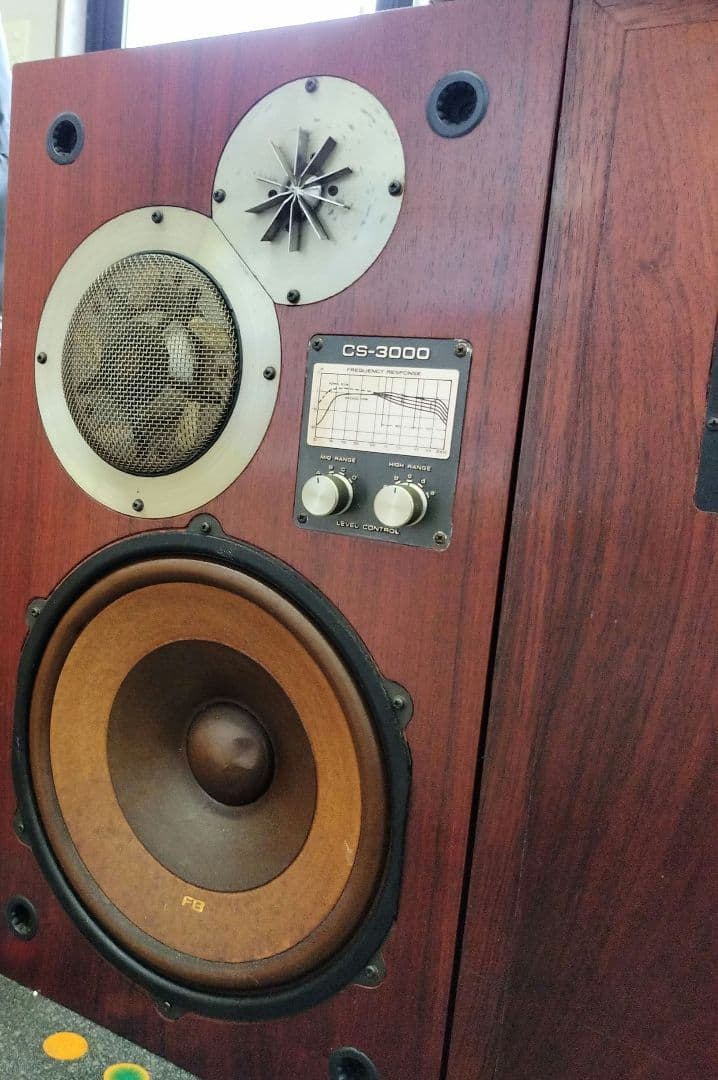 【お値下げ！】Pioneer CS-3000 スピーカー　ペア