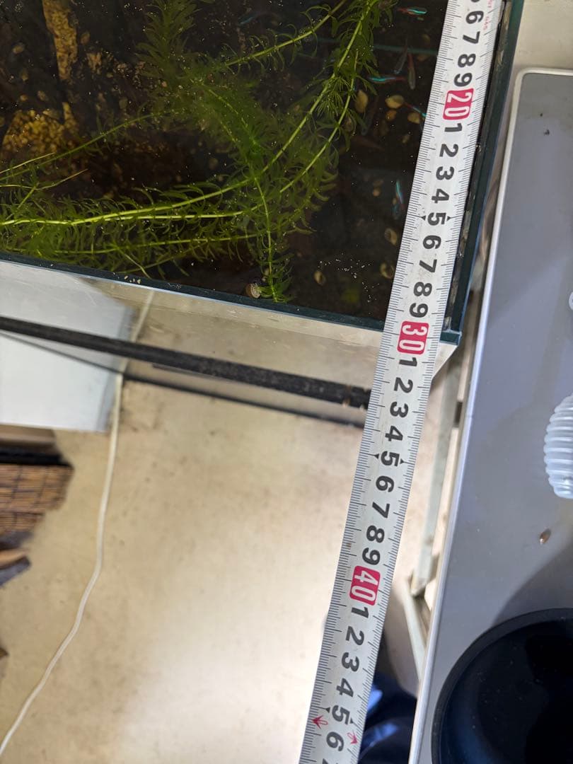 対面受け渡し限定‼️ オーバーフロー水槽　熱帯魚　濾過槽　ポンプ・流木・ろ材付き