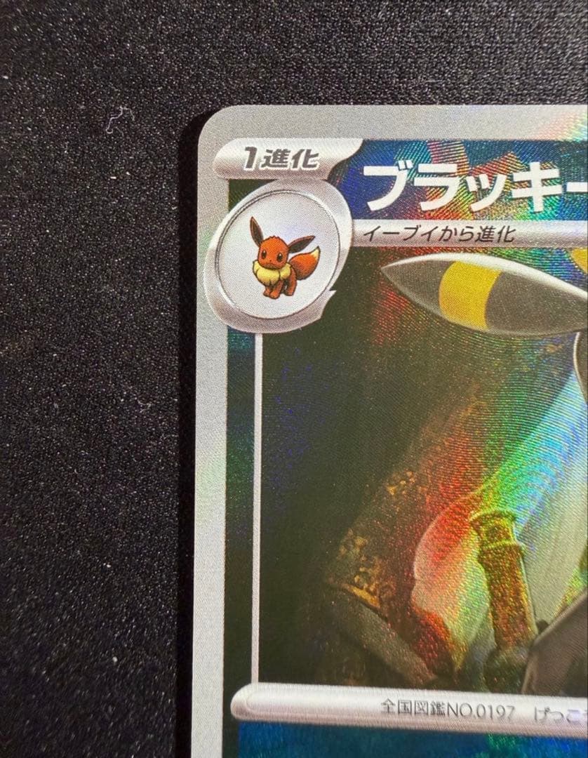 ブラッキー マスターボールミラー テラスタルフェスex sv8a ポケモンカード