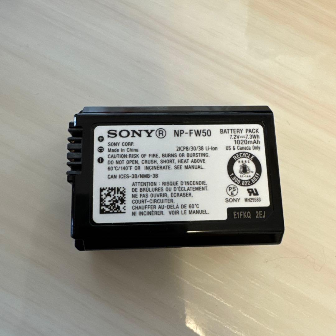 SONY VLOGCAM ZV-E10 本体とストラップ