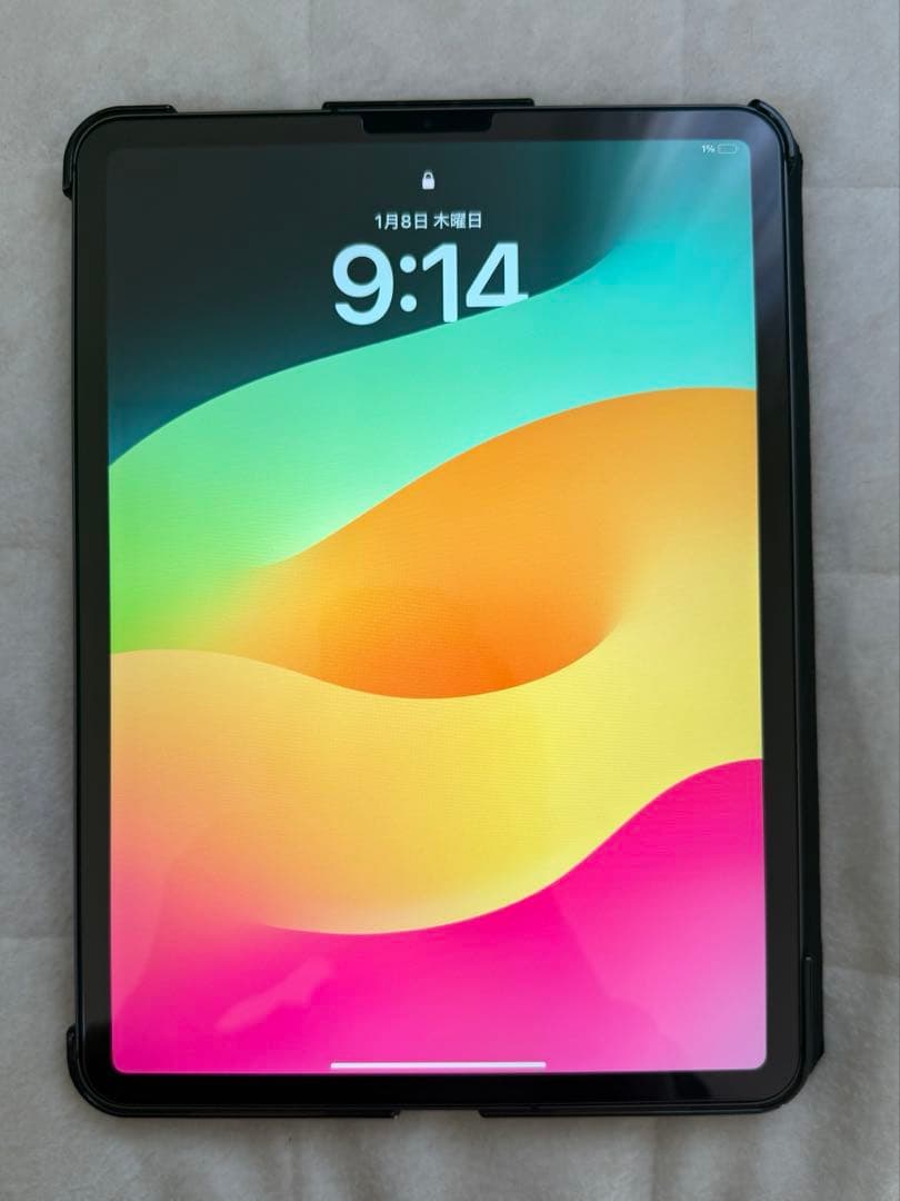 ipad pro 11インチ　第一世代　256gb simフリー