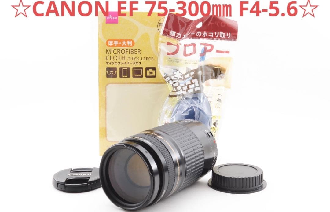 望遠レンズ☆キヤノン☆CANON EF 75-300㎜ F4-5.6