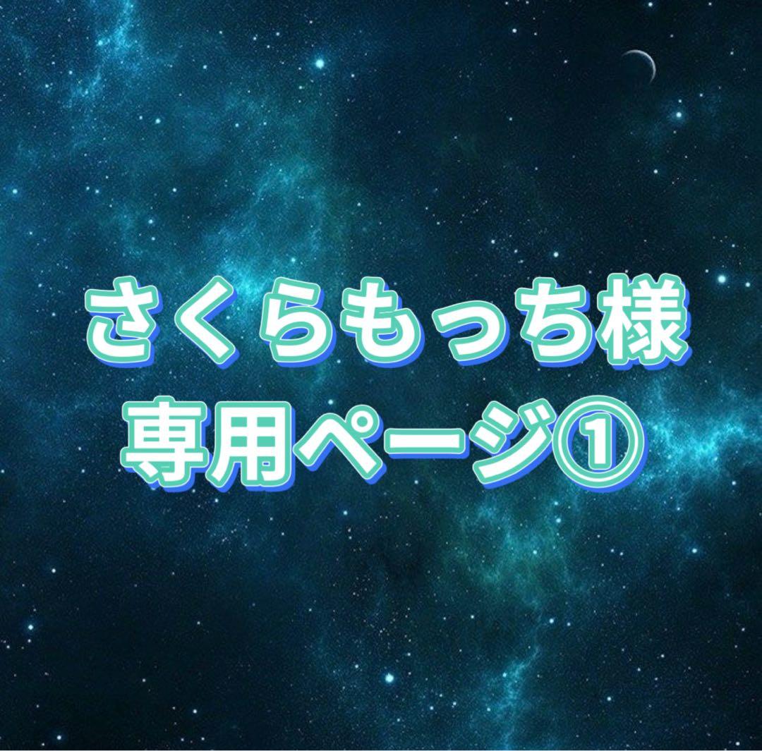 さくらもっち様 お見積もりページ①