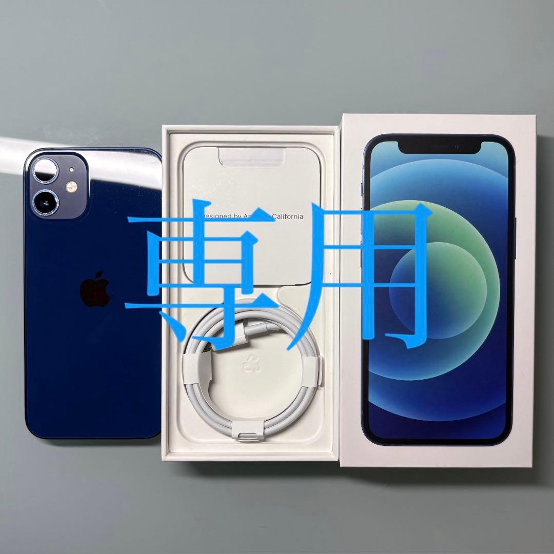 【専用】Apple iPhone 12miniブルー 本体とケーブル
