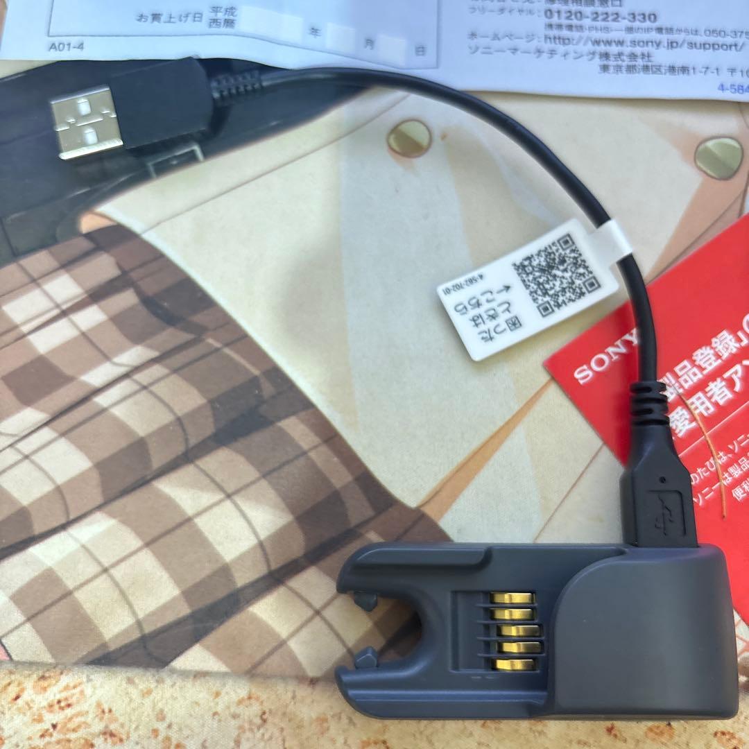 SONY デジタルオーディオプレーヤー 本体ウォークマン　 NWWS413