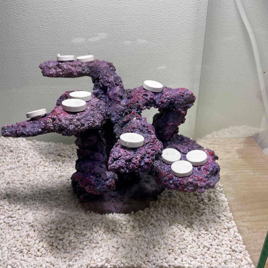 【送料無料】人工ライブロック　PHR01／10穴加工　アク抜き済み安心塗料使用