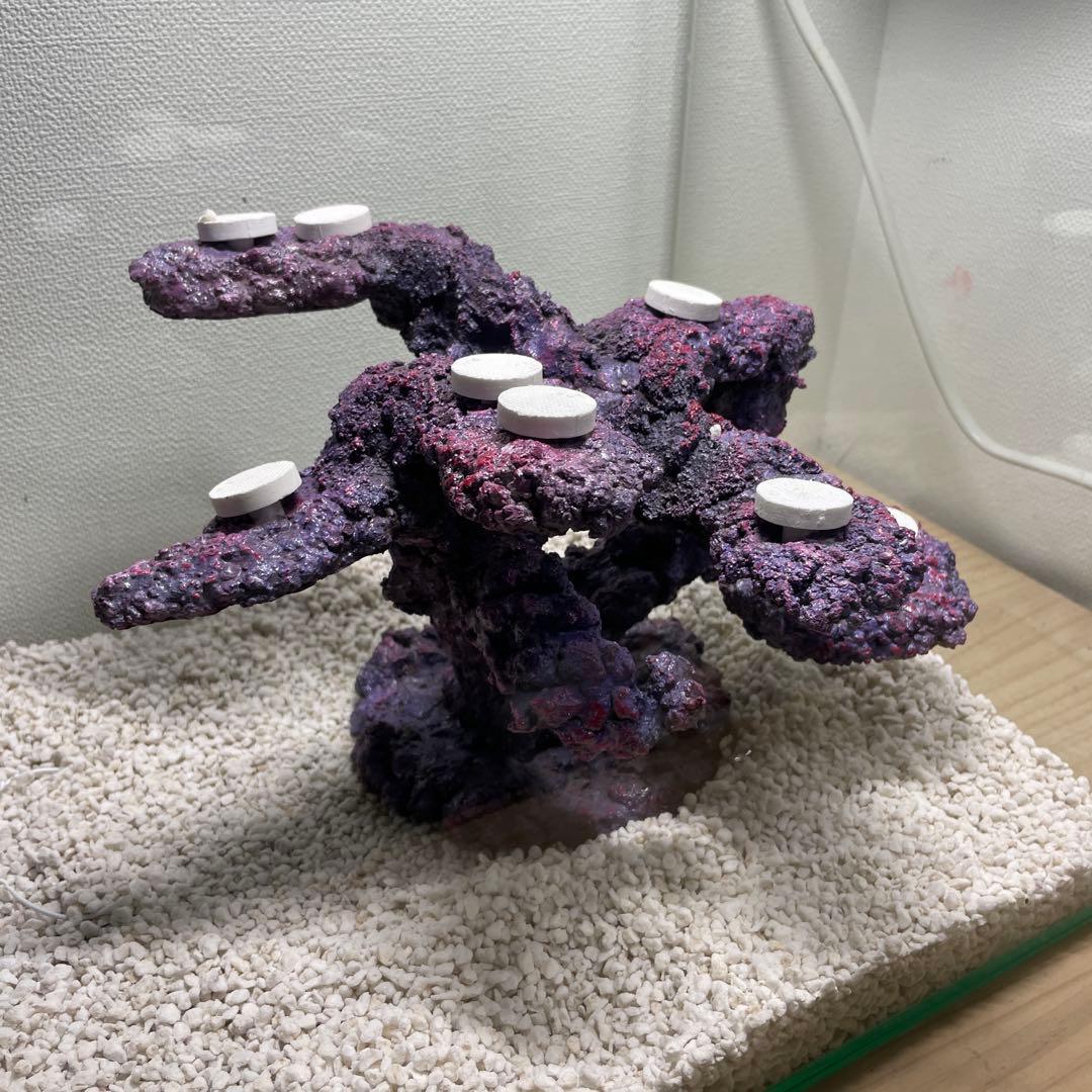 【送料無料】人工ライブロック　PHR01／10穴加工　アク抜き済み安心塗料使用