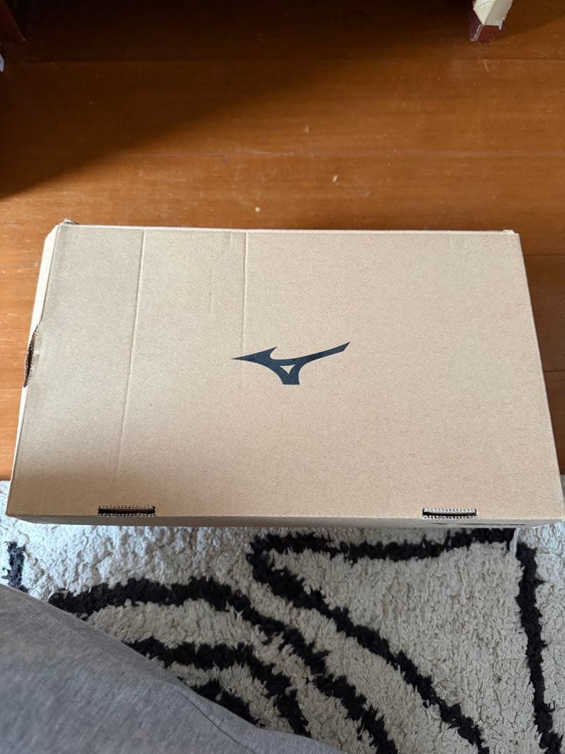 横*マ様 日本未発売 MIZUNO ミズノ モレリア2 プロ AG 25.5cm