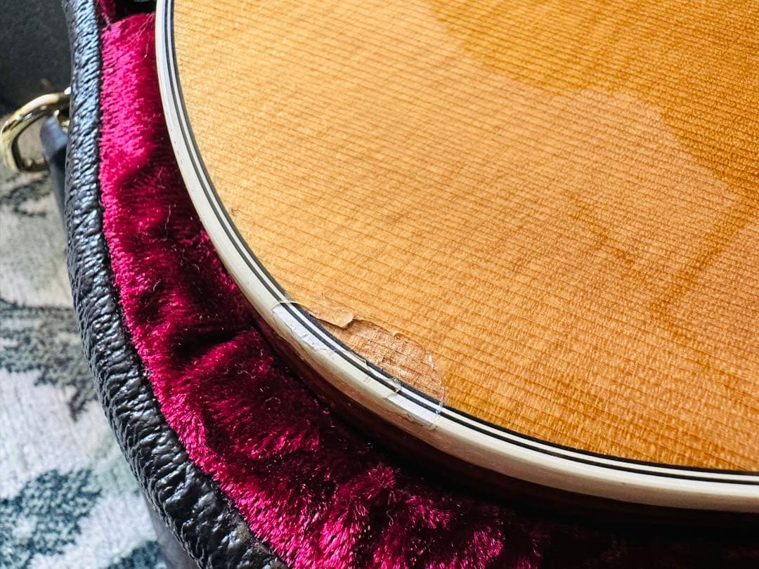 Taylor 214ce Fall-LTD エレアコ