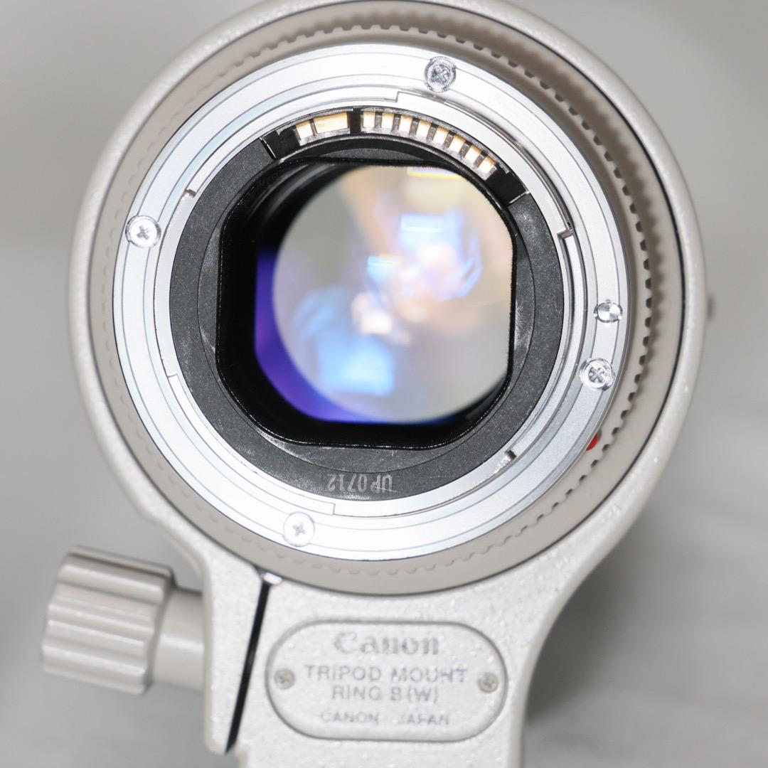 レンズ(ズーム) Canon EF 70-200mm f/2.8 L