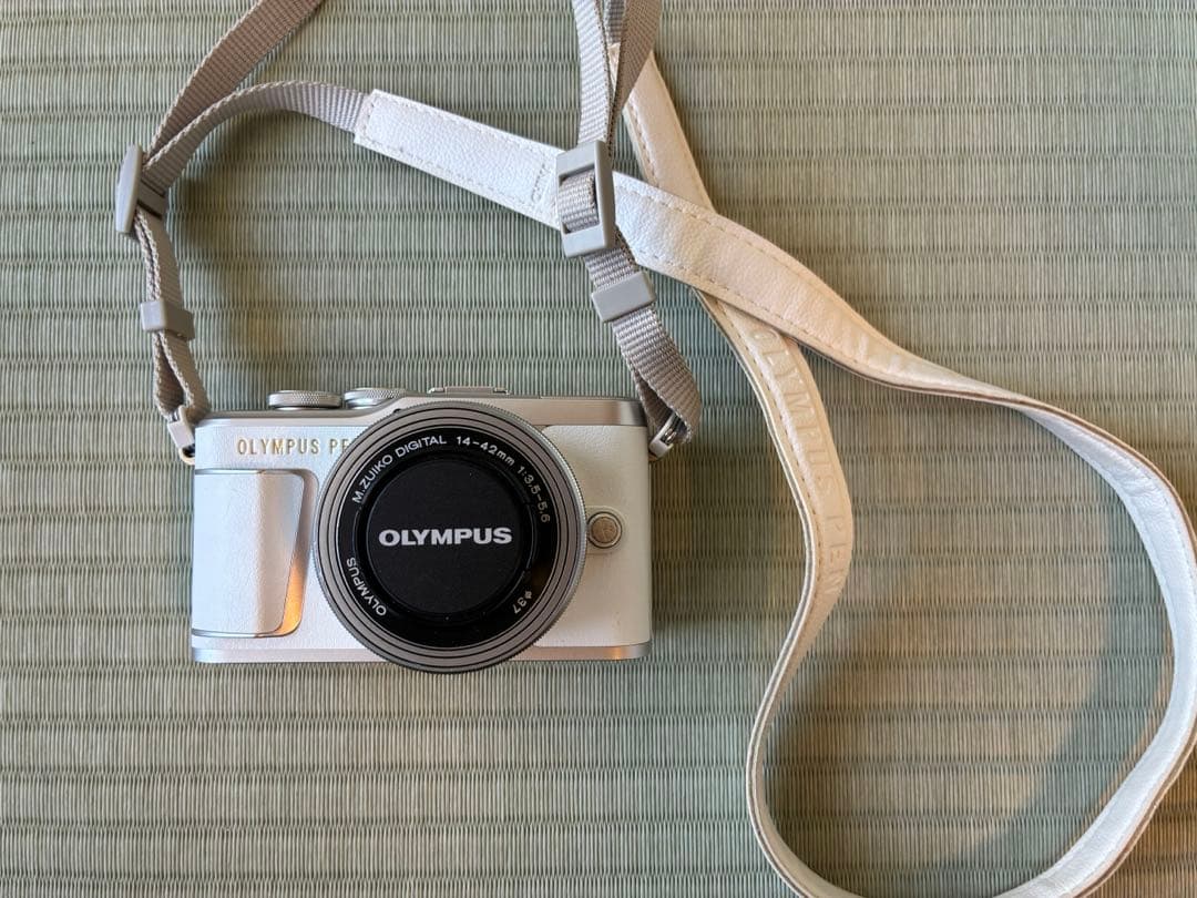 値下げ　OLYMPUS PEN E-PL9 美品 付属品多数 シャッター少