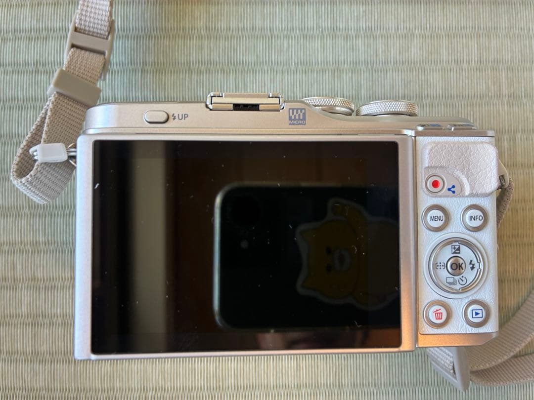 値下げ　OLYMPUS PEN E-PL9 美品 付属品多数 シャッター少