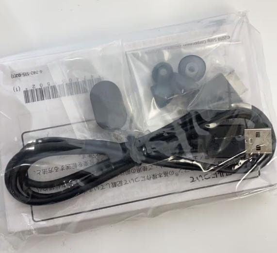 SONY ウォークマン ディズニーファンタジア35周年 NW-A55HN/FAN