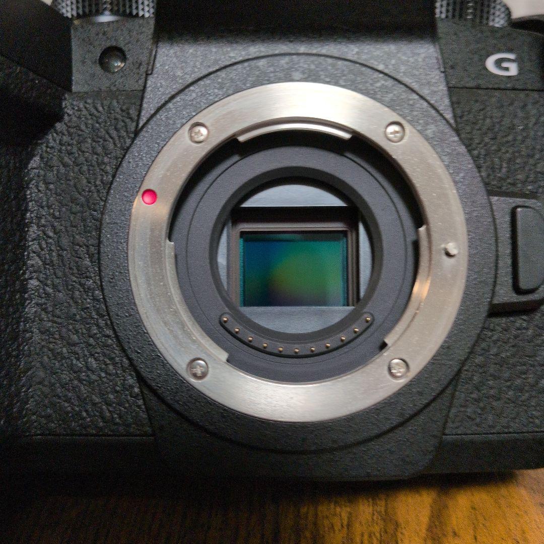 LUMIX　G99M2　ボディ