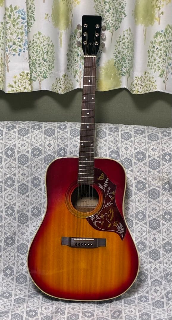 ス*ー様 アコースティックギター　アコギ　Greco【弦・ソフトケース付属】