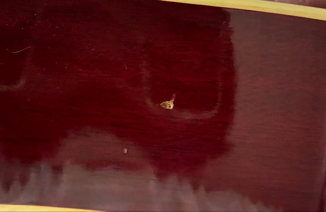 ス*ー様 アコースティックギター　アコギ　Greco【弦・ソフトケース付属】