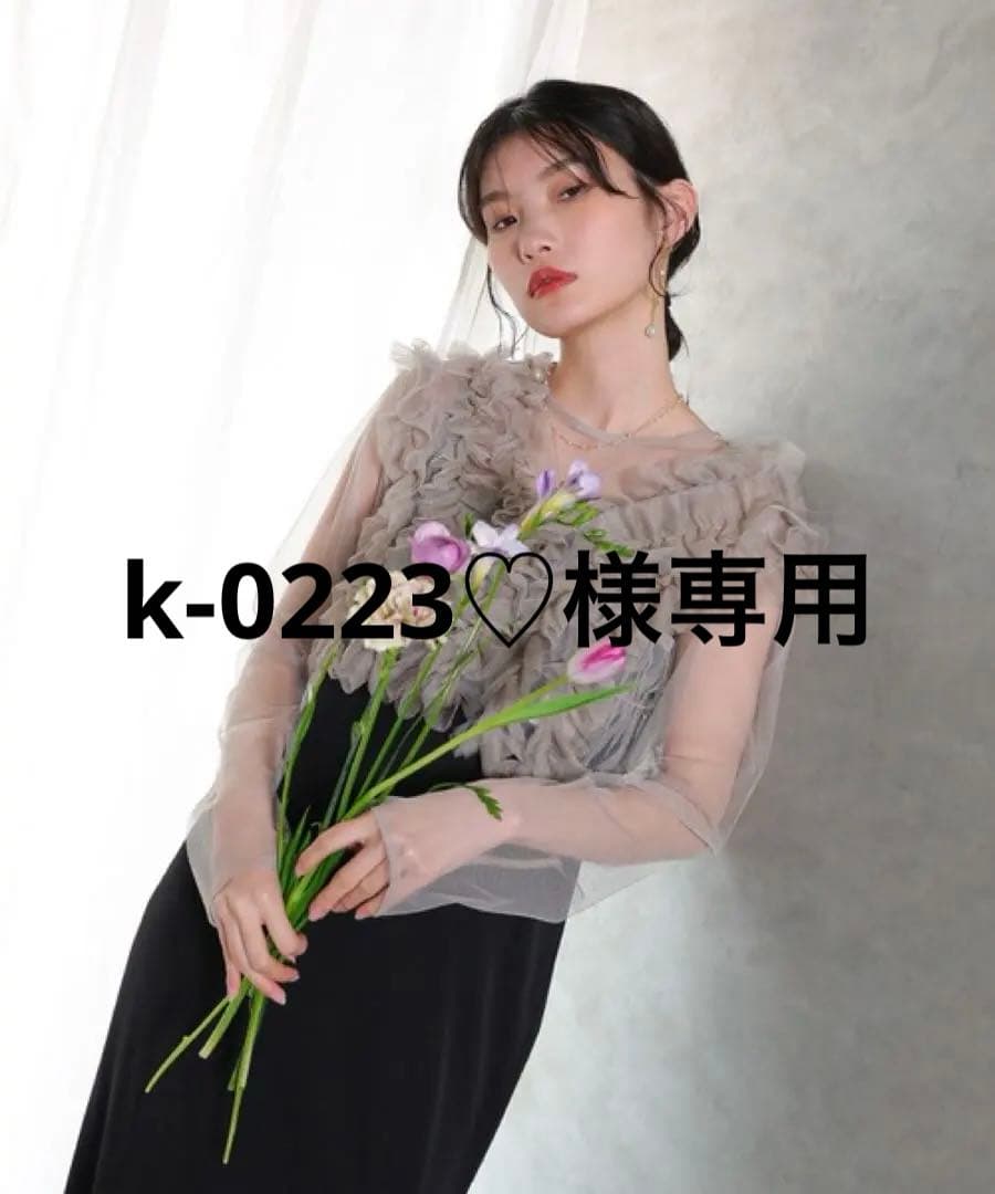 ＊美品＊ チュール ボリューム フリル ベスト シアー トップス ワンピース