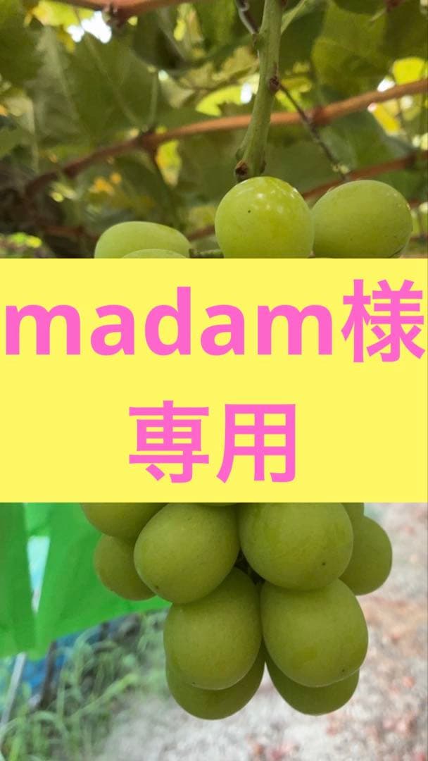 madam⭐︎贈答用2kg、1kg×2、ハート1パック