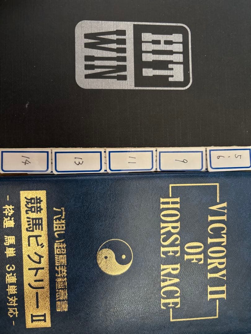 ビジネス・経済 HIT WIN VICTORY II OF HORSE RACE