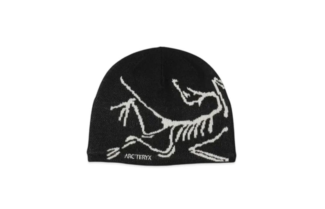 ARC'TERYX Bird Head Toque \