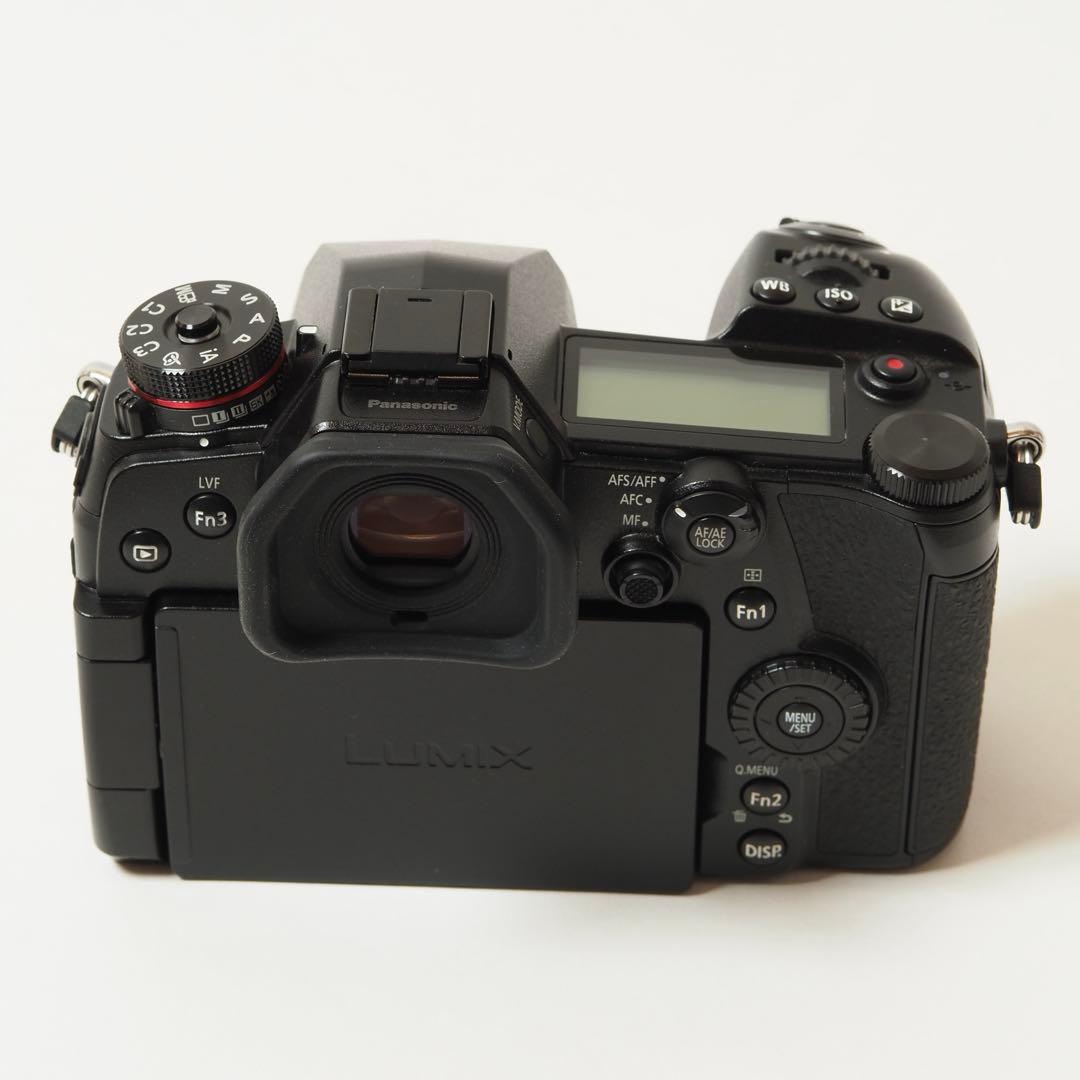 【美品】LUMIX G9 PRO ボディ DC-G9 +純正バッテリー付