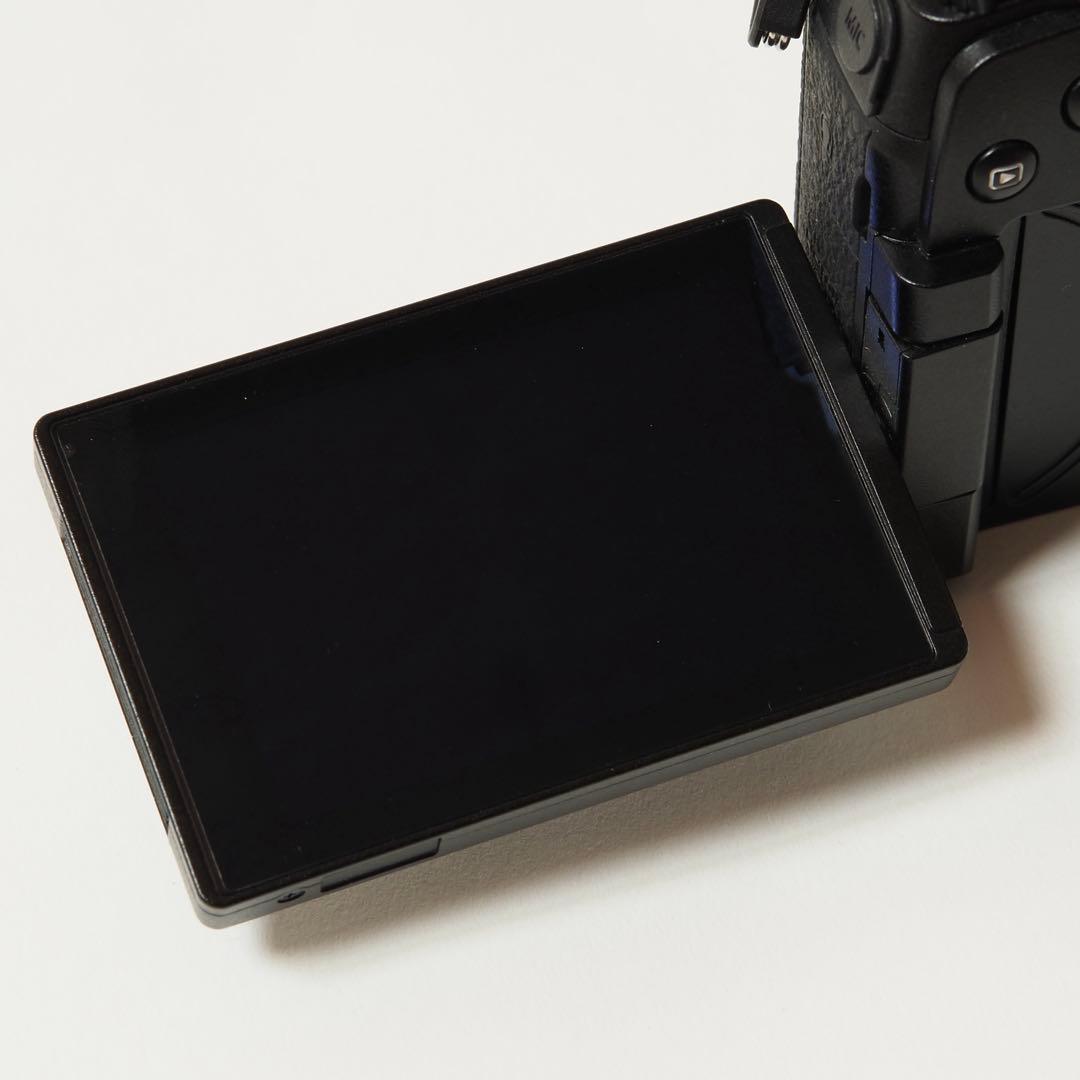 【美品】LUMIX G9 PRO ボディ DC-G9 +純正バッテリー付