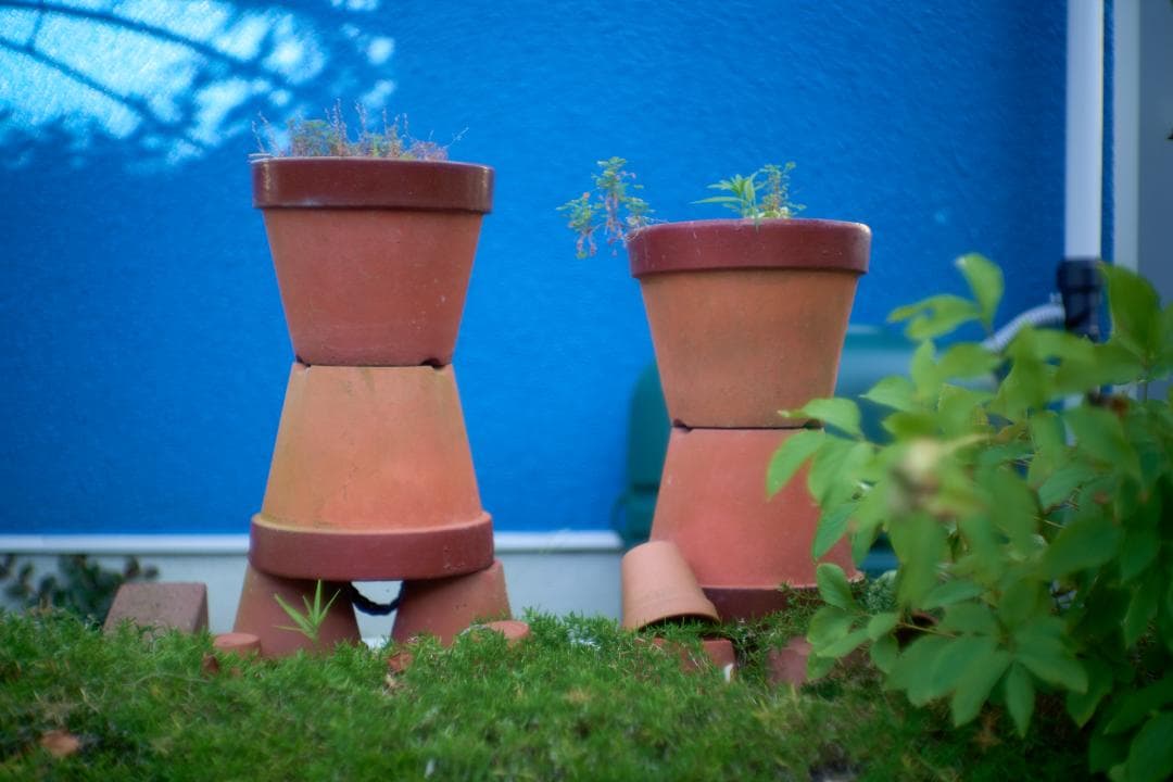 Nippon Kogaku NIKKOR-S・C 5cm F1.4 Sマウント